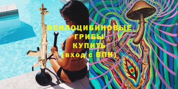 spice Армянск