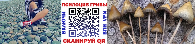 Галлюциногенные грибы мухоморы  MEGA ссылки  Белогорск 